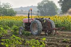 Tracteur Près de Cailhau